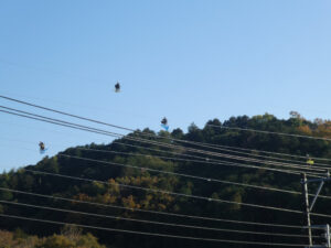 こんなに高いところで働いている高所作業員の方たち